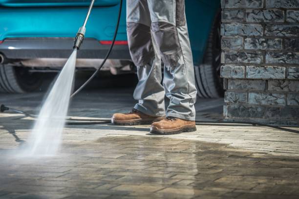 Best Soft Washing  in Nashotah, WI